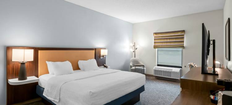 兰辛东欢朋酒店及套房(Hampton Inn & Suites East Lansing/Okemos)图片