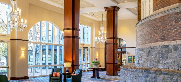 罗阿诺克酒店和会议中心-希尔顿格芮精选酒店(The Hotel Roanoke & Conference Center, Curio Collection by Hilton)图片