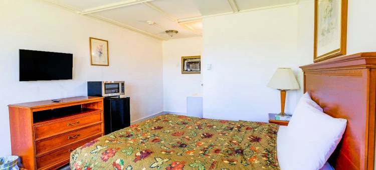 OYO 斯特吉斯的Country Hearth Inn & Suites(Country Hearth Inn & Suites by OYO Sturgis)图片