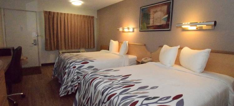 布法罗汉堡I-90红顶酒店(Red Roof Inn Buffalo - Hamburg/ I-90)图片