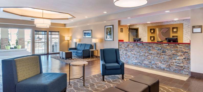 舒适套房酒店(Comfort Inn & Suites)图片