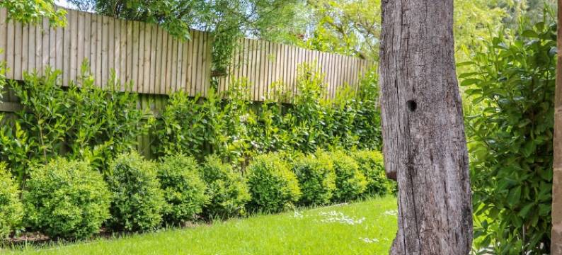 克伦布尔霍尔姆酒店(Crumbleholme)图片