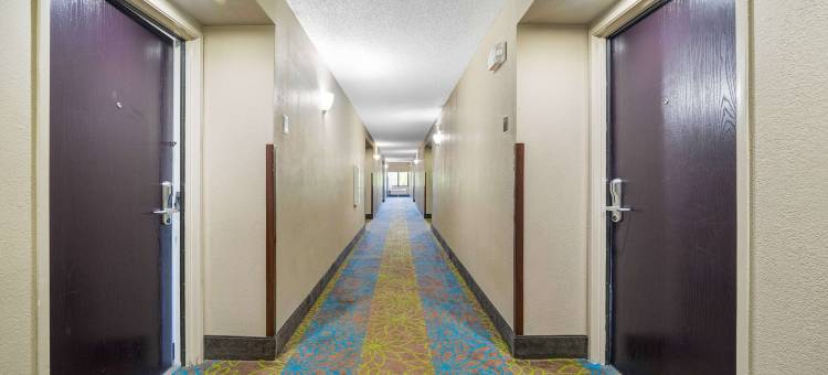 利斯堡湖群舒眠酒店(Sleep Inn Leesburg Chain of Lakes)图片