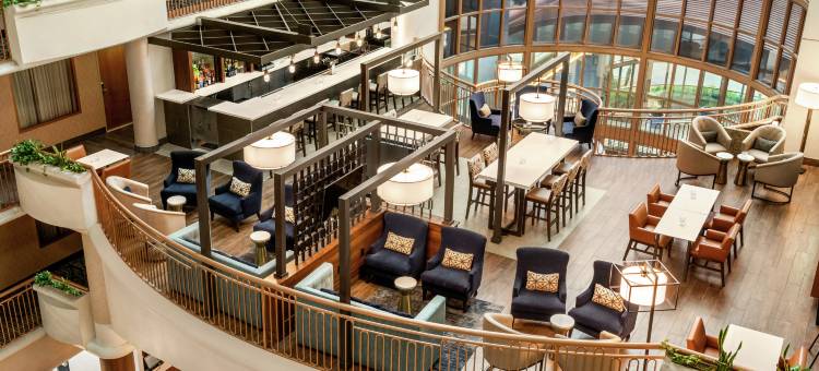 拉斯维加斯会议中心希尔顿安泊套房酒店(Embassy Suites by Hilton Convention Center Las Vegas)图片