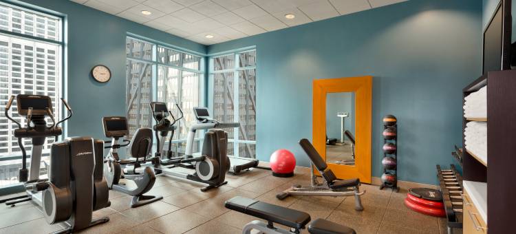 芝加哥壮丽大道希尔顿套房酒店(Hilton Chicago Magnificent Mile Suites)图片