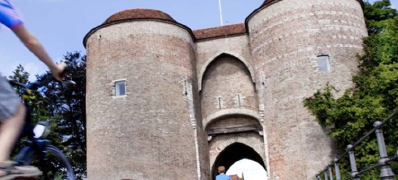 Koffieboontje Budget 1图片