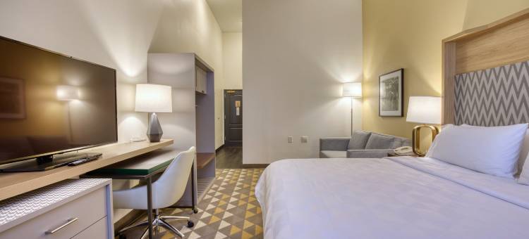 Holiday Inn & Suites 麦迪逊西(Holiday Inn & Suites Madison West - Middleton)图片