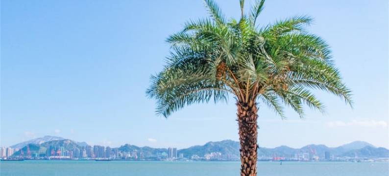 满满客栈(厦门机场店)图片