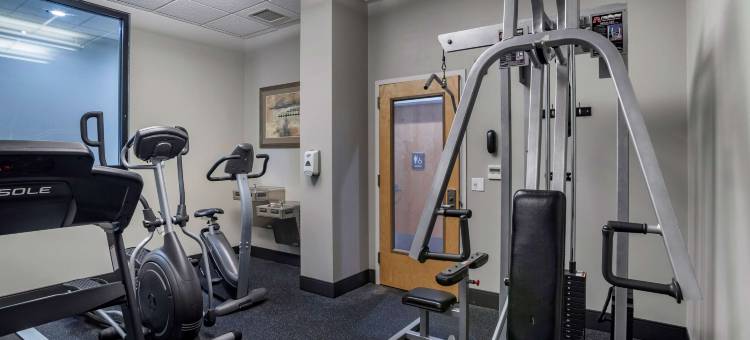 费城机场南-威得恩大学贝斯特韦斯特优质酒店(Best Western Plus Philadelphia Airport South at Widener University)图片