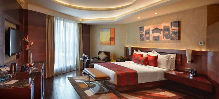 卡萨比德里NCR丽笙酒店(Radisson Blu Kaushambi Delhi NCR)图片