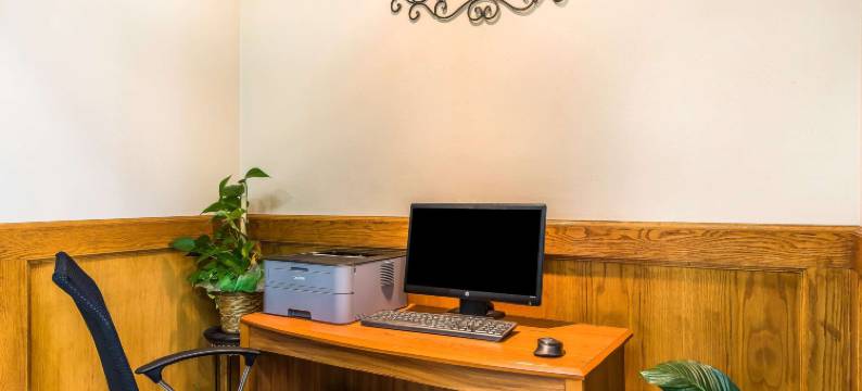 切斯特菲尔德村凯艺套房酒店(Quality Inn & Suites Chesterfield Village)图片