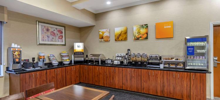 舒适套房酒店(Comfort Inn & Suites)图片