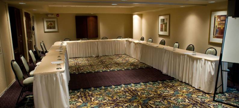 威廉斯维尔 - 布法罗驻桥套房酒店(Staybridge Suites WILLIAMSVILLE - BUFFALO by IHG)图片