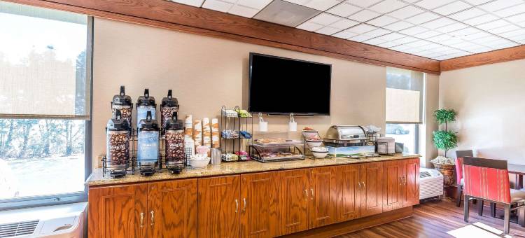 舒适酒店-盖瑟斯堡罗克维尔凉荫丛(Comfort Inn Shady Grove - Gaithersburg - Rockville)图片