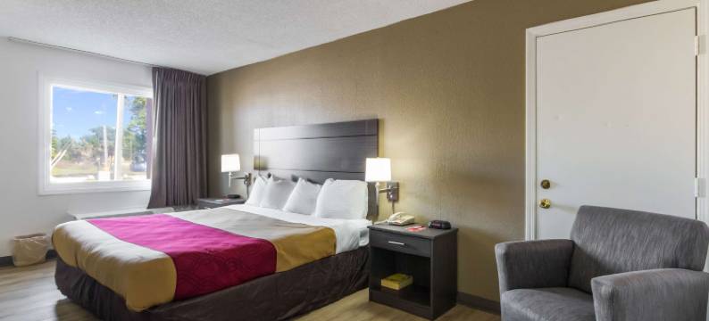 伊可洛吉酒店-利特尔克里克(Econo Lodge Little Creek)图片