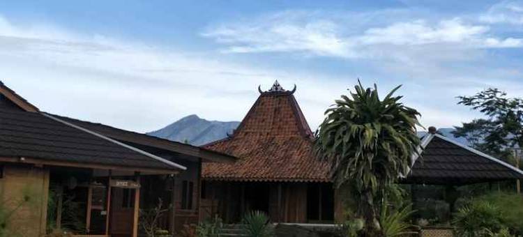 @Niek Homestay图片