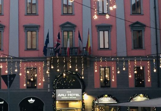 Arli Hotel Business and Wellness Over view