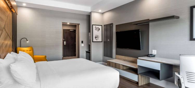 品质酒店及会议中心(Quality Hotel & Conference Centre)图片