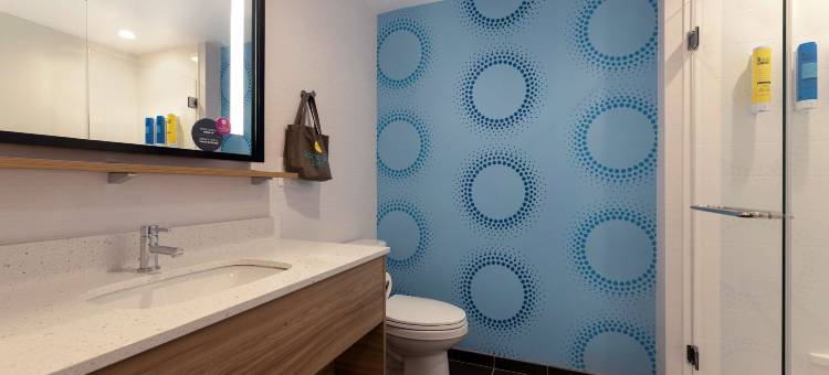 佐治亚州亚特兰大广场棒球场希尔顿特鲁酒店(Tru by Hilton Atlanta Galleria Ballpark)图片