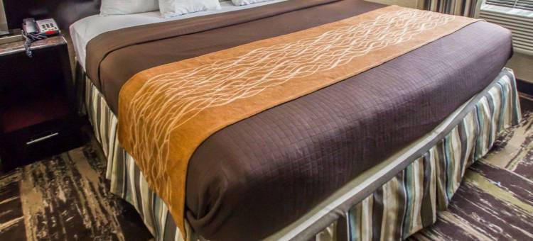 布朗克斯动物园罗德威旅馆(Rodeway Inn Bronx Zoo)图片