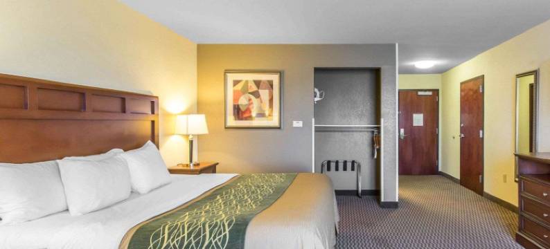 麦迪逊维尔舒适酒店及套房(Comfort Inn and Suites)图片