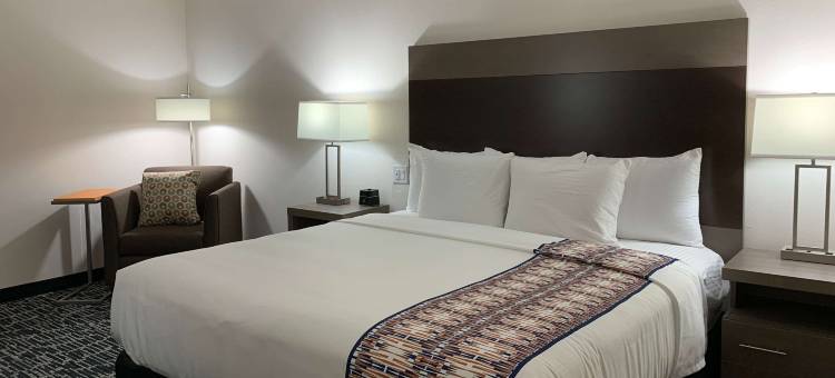 德克萨斯雷德奥克IH-35E拉昆塔温德姆套房酒店(La Quinta Inn & Suites by Wyndham-Red Oak TX IH-35E)图片