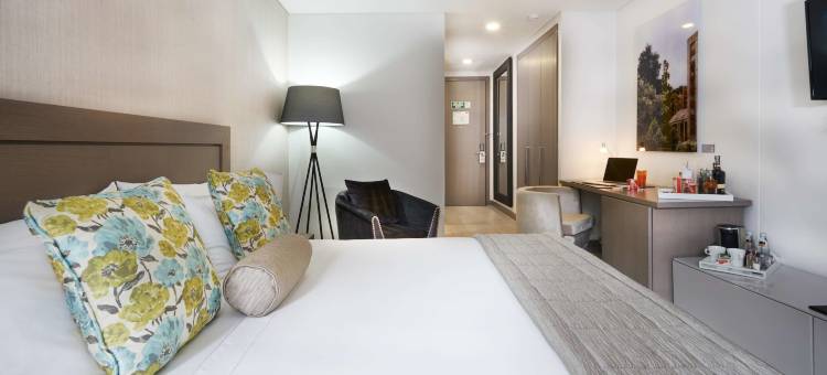 100 奢华套房 - 优选酒店(100 Luxury Suites)图片