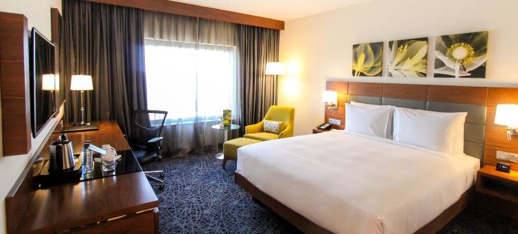 内罗毕机场希尔顿花园酒店(Hilton Garden Inn Nairobi Airport)图片