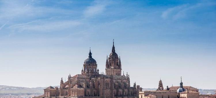 卡娜雷佳斯苏活精品酒店(Itaca Salamanca by Soho Boutique)图片