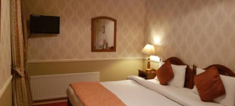 皇室温泉酒店(Royal Spa Hotel)图片