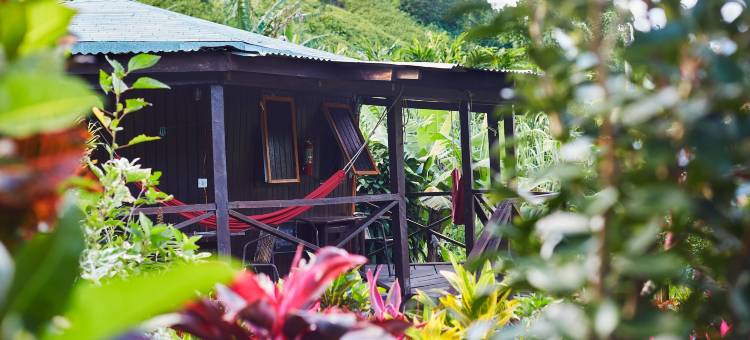 芙蓉谷酒店(Hibiscus Valley Inn)图片