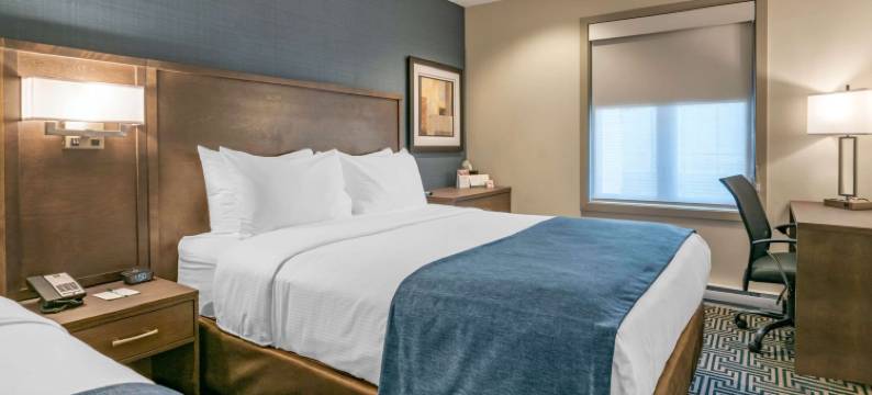 中心-威尔凯艺酒店(Quality Inn Centre-Ville)图片