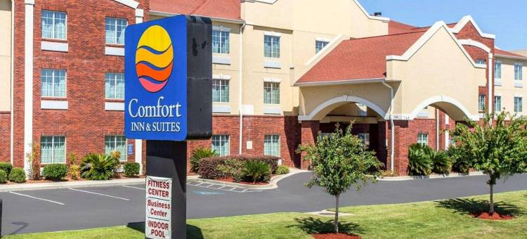 舒适套房酒店(Comfort Inn & Suites)图片