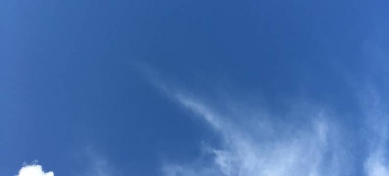 丰宁民宿(文苑路1号分店)图片