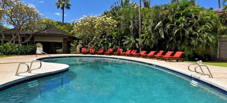 Aina Nalu A104图片