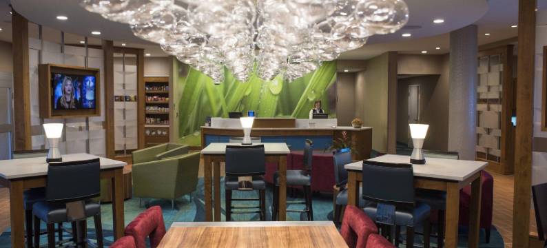 威斯康星戴尔斯SpringHill Suites酒店(SpringHill Suites Wisconsin Dells)图片