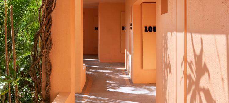 Salt of Palmar, Mauritius图片