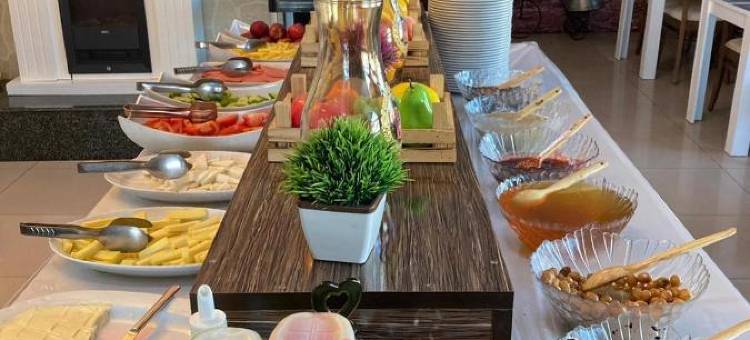 肯特阿尼酒店(Hotel Kent Ani)图片