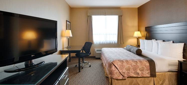 埃斯特万贝斯特韦斯特优质套房酒店(Best Western Plus Estevan Inn  Suites)图片