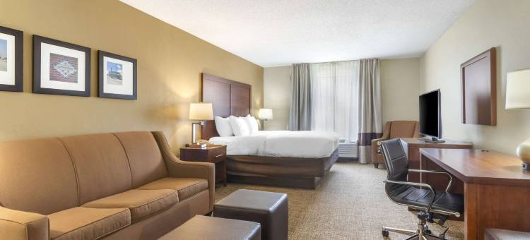 舒适套房酒店(Comfort Inn & Suites)图片