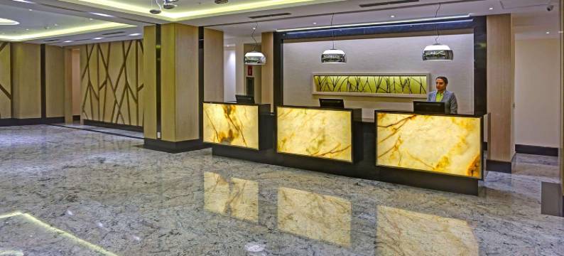 瓜亚基尔丽筠酒店(Radisson Hotel Guayaquil)图片