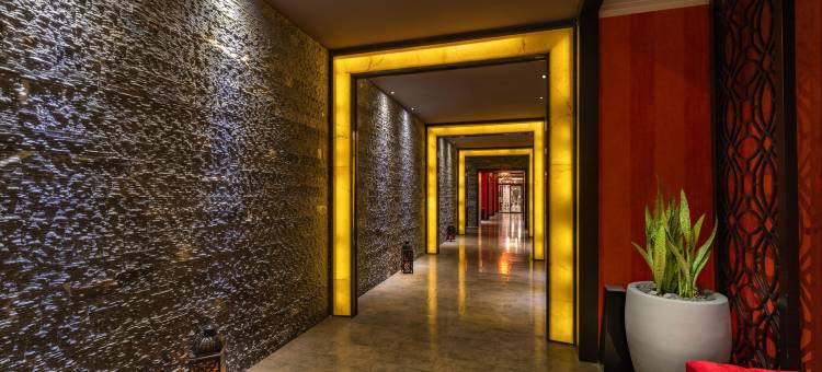 安塔利亚市中心里克萨斯酒店 - 带您进入传奇之地(Rixos Downtown Antalya - the Land of Legends Access)图片