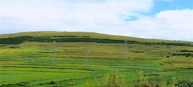 张北爱多多民宿(察哈尔南大街分店)图片