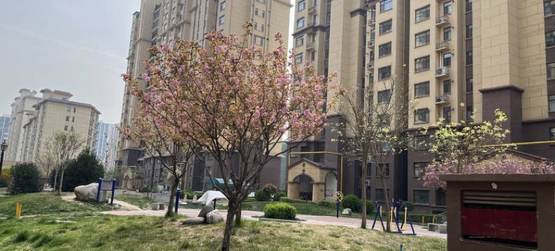 沙沙爱如家公寓(新兴路分店)图片