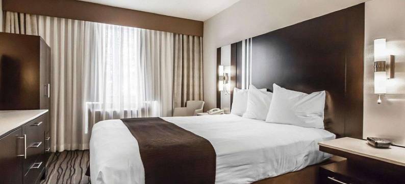 温哥华机场Comfort酒店(Comfort Hotel Vancouver Airport)图片