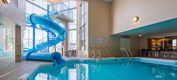 布兰顿贝斯特韦斯特优质酒店(Best Western Plus Brandon Inn)图片