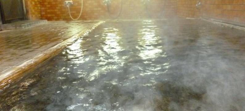 鱼敏日式旅馆(Uotoshi Ryokan)图片