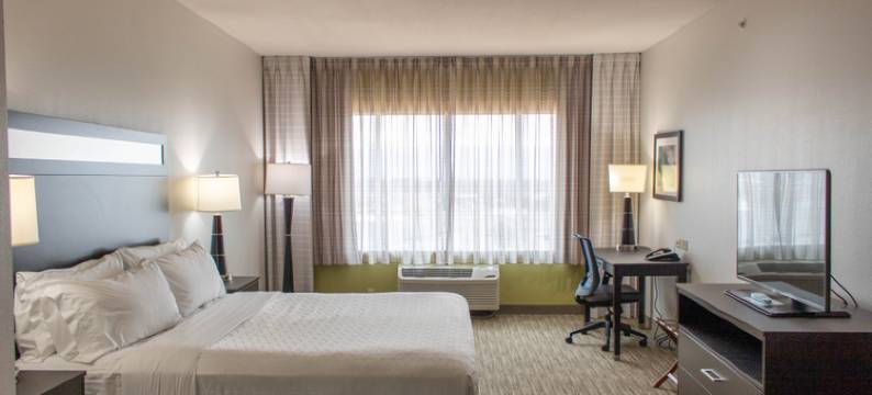 坦普尔医疗中心区智选假日套房酒店(Holiday Inn Express & Suites TEMPLE - MEDICAL CENTER AREA by IHG)图片