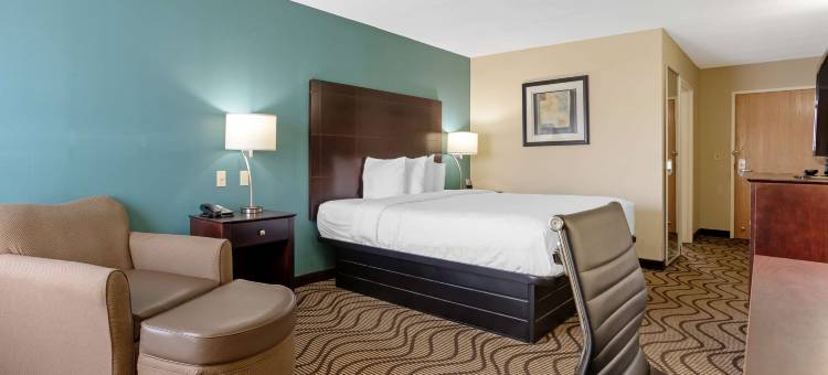 洛诺克贝斯特韦斯特优质酒店(Best Western Plus Lonoke Hotel)图片