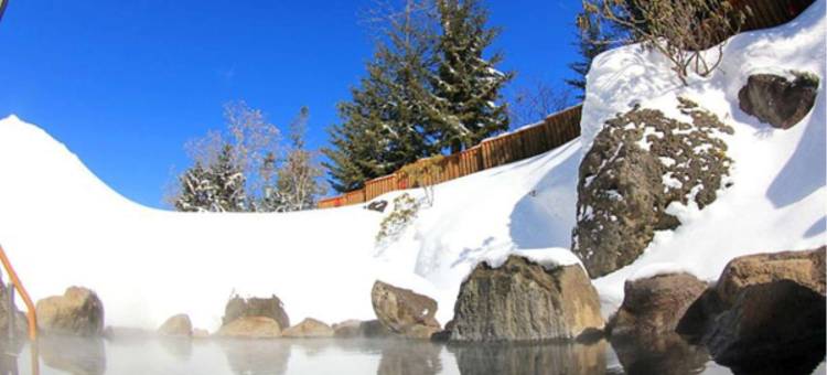 灯之宿日式旅馆(Moritsubetsu)图片